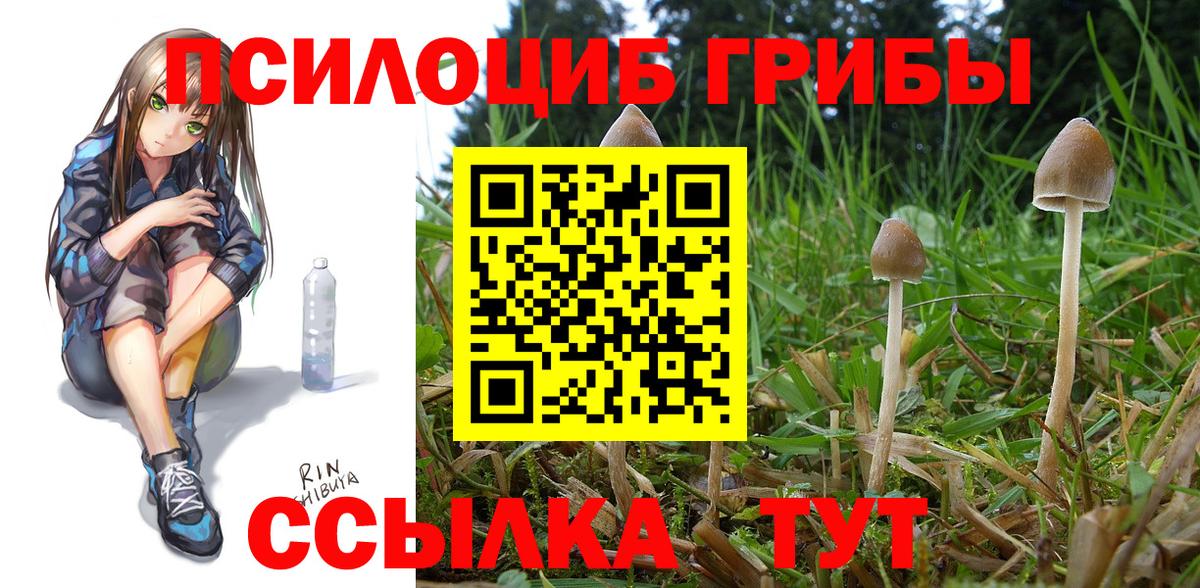 Галлюциногенные грибы Cubensis  Вход с VPN  Йошкар-Ола 